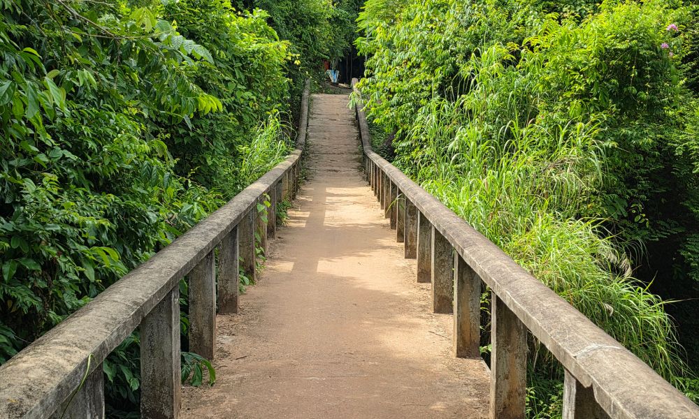 Bridge