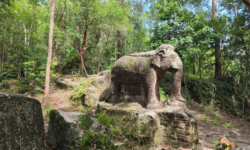 Elephant